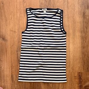 J. Crew Navy and White Striped Top